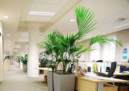 辦公室植物擋煞 陽角 陰角 意思